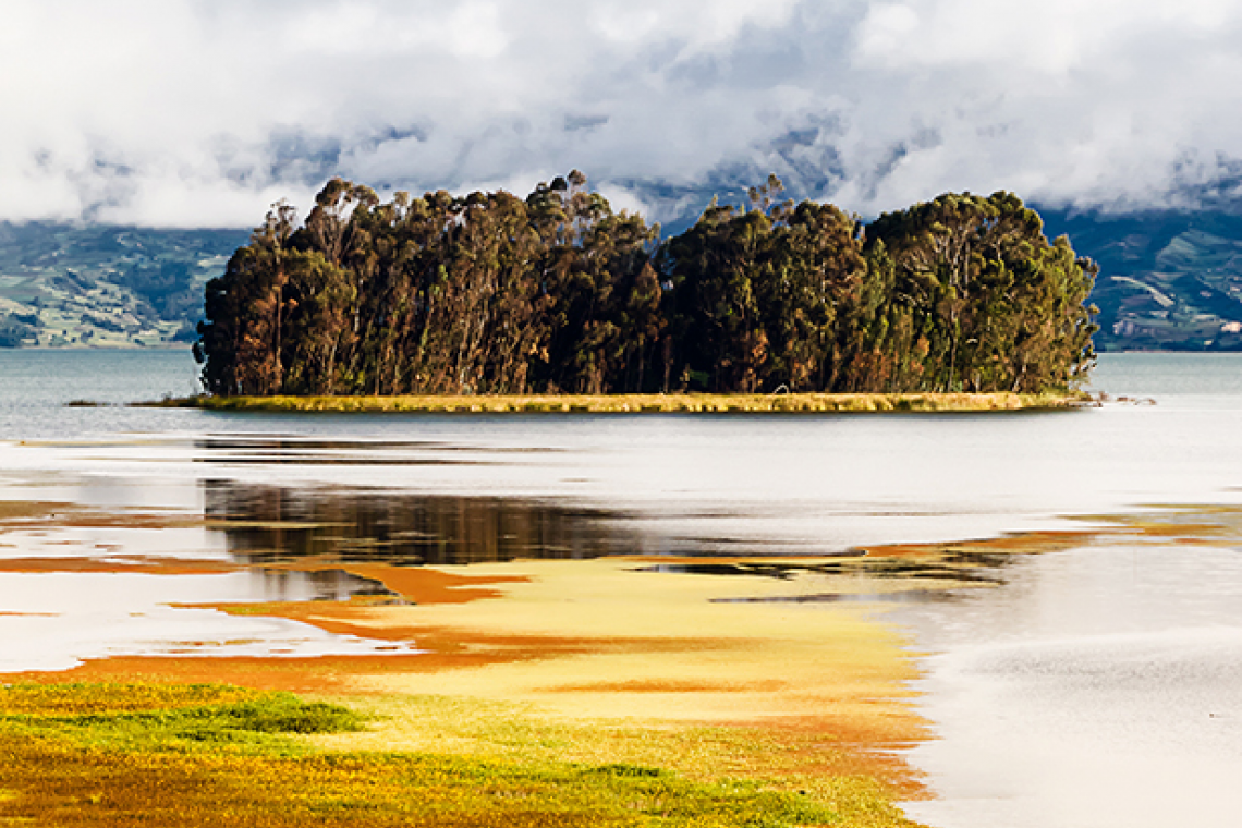  Lago de Toya, Boyacá. Revela 2013.