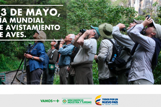 13 de mayo, Día Mundial de Avistamiento de Aves
