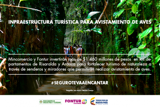 Infraestructura turística para avistamiento de aves